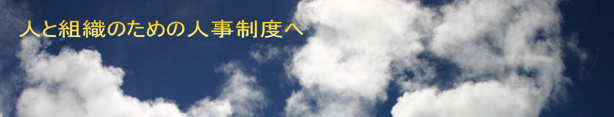 �l�Ƒg�D�̂��߂̐l�����x��